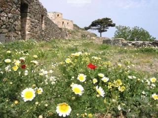 sikinos_04_04