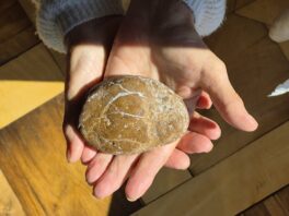 Vom kleinen Licht im grossen Ganzen