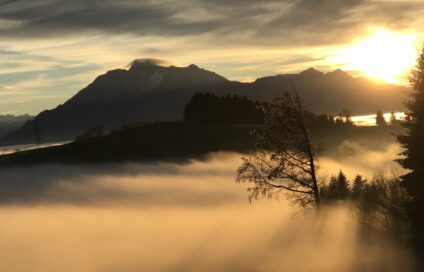 Reiki erleichtert das Sterben